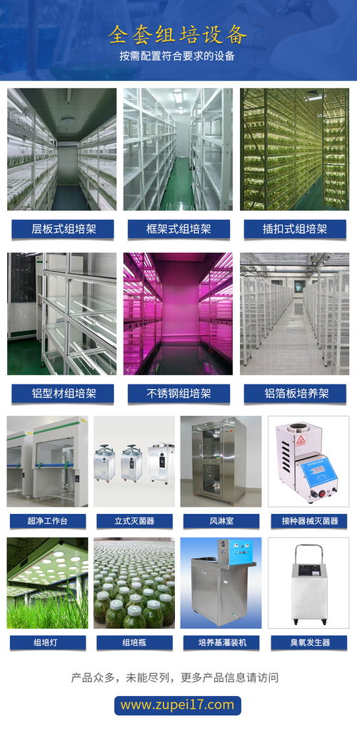 甘肃组培设备 内蒙古组培室宁夏组培仪器 新疆组培设计